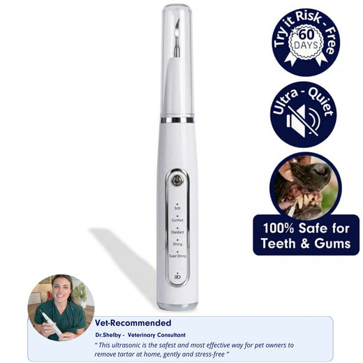 RodentLab non-ingestible dog dental cleaner
