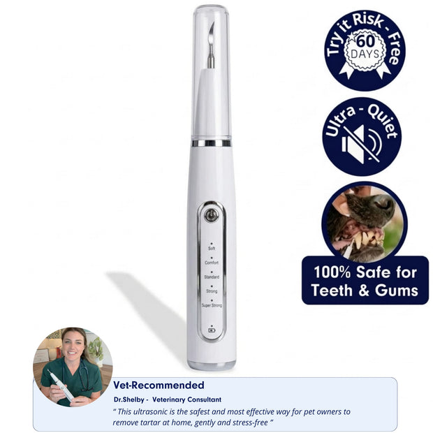 RodentLab silent ultrasonic plaque and tartar remover kit