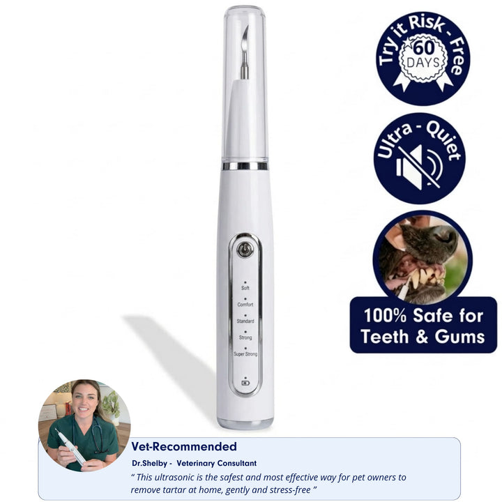 RodentLab Silent Ultrasonic Plaque and Tartar Remover