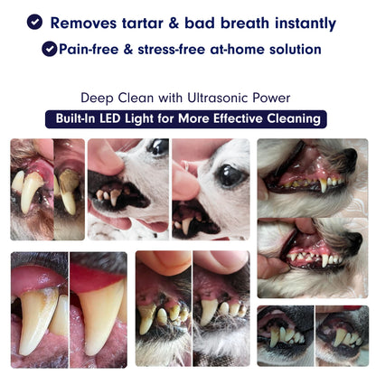 RodentLab ultrasonic dog tartar remover product image 3