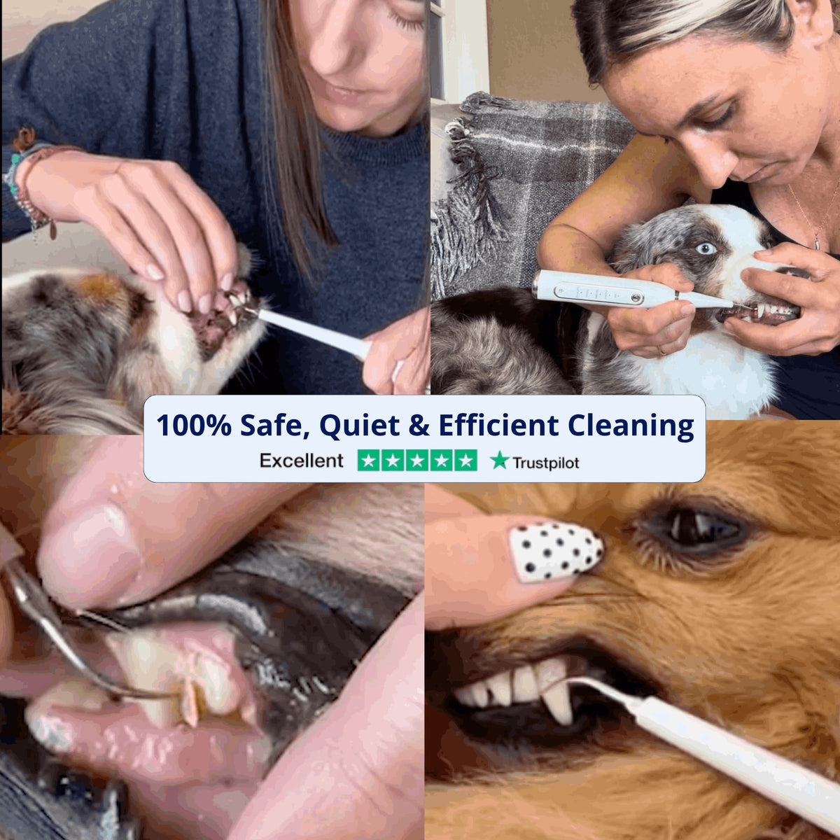 RodentLab dog dental-care kit detail