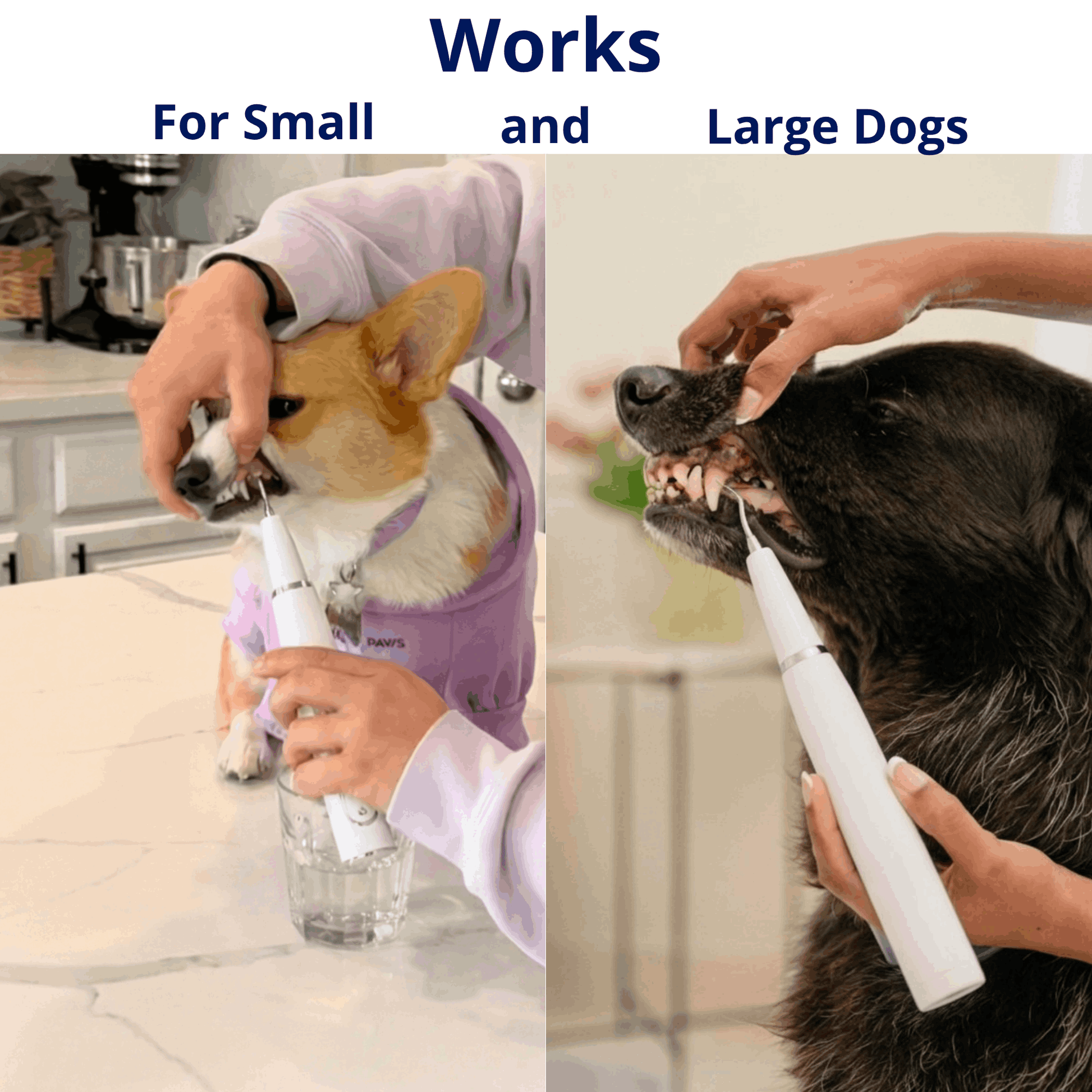 RodentLab ultrasonic dog tartar remover product image 6