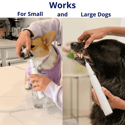 RodentLab ultrasonic dog tartar remover product image 6