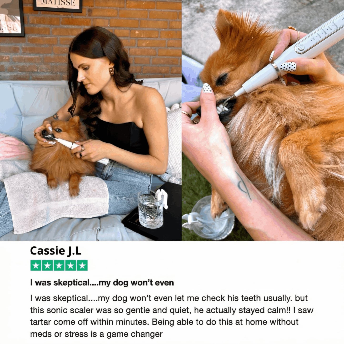 RodentLab ultrasonic dog tartar remover product image 8
