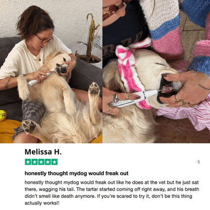 RodentLab ultrasonic dog tartar remover product image 9