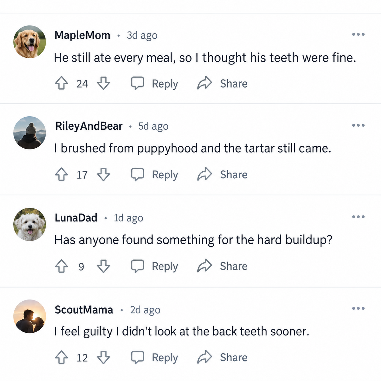 Dog owners discussing normal eating, brushing and hard buildup on back teeth