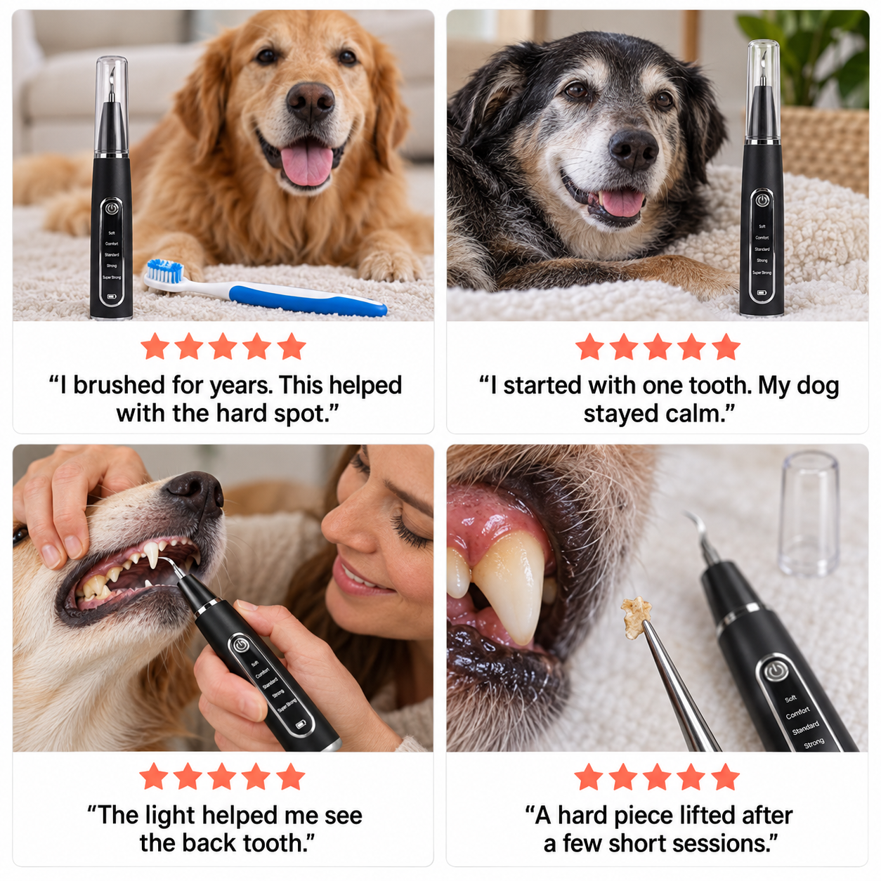 Four RodentLab customer experiences in a review collage