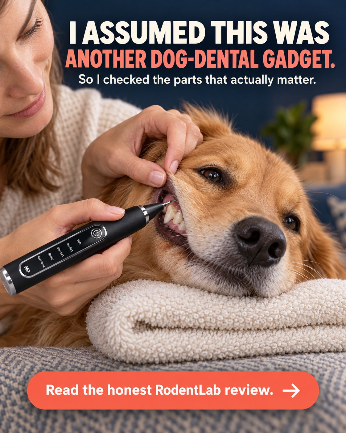 Uncapped RodentLab device used carefully on a visible hard tooth surface