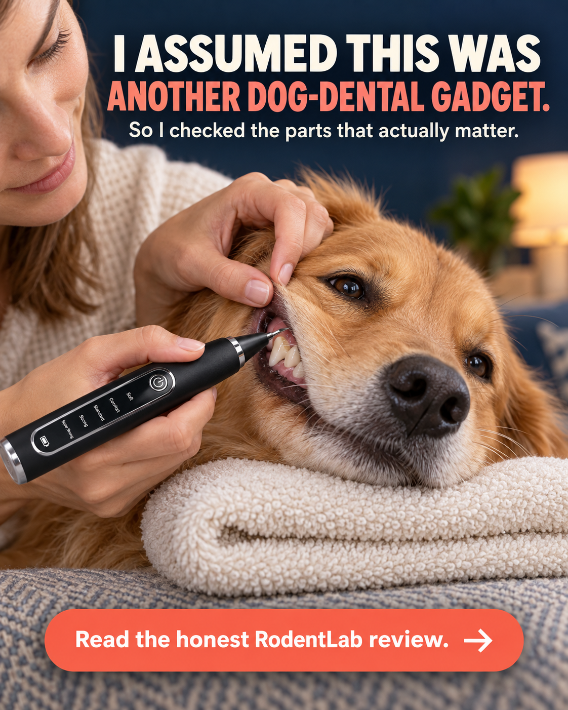 Uncapped RodentLab cleaner touching only a stable visible hard tooth surface
