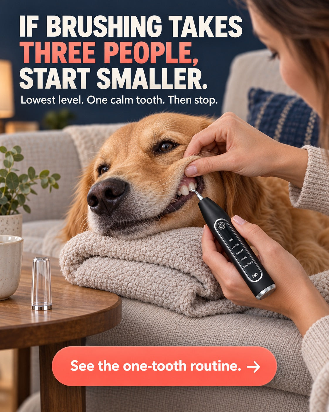 Uncapped RodentLab device used carefully on one visible tooth of a calm dog