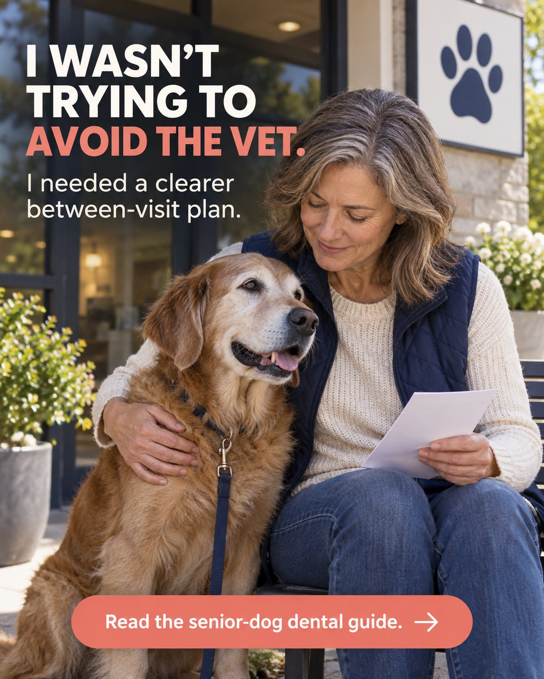 Older dog resting beside its owner after a veterinary conversation